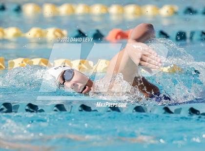 Thumbnail 2 in AIA D2 Swim Finals photogallery.