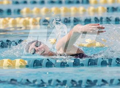 Thumbnail 3 in AIA D2 Swim Finals photogallery.