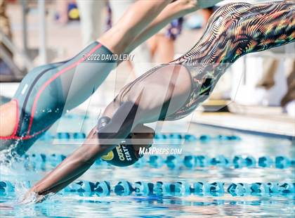 Thumbnail 3 in AIA D2 Swim Finals photogallery.