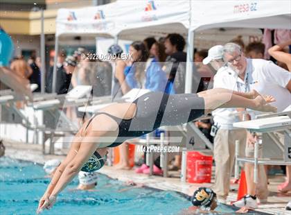 Thumbnail 2 in AIA D2 Swim Finals photogallery.