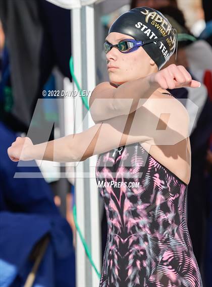 Thumbnail 2 in AIA D2 Swim Finals photogallery.