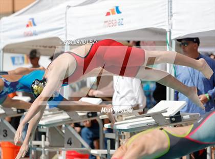 Thumbnail 3 in AIA D2 Swim Finals photogallery.