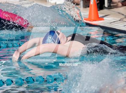 Thumbnail 2 in AIA D2 Swim Finals photogallery.