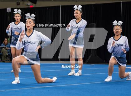 Thumbnail 1 in HHSAA Cheer Championships photogallery.