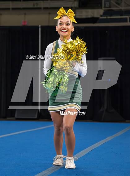 Thumbnail 1 in HHSAA Cheer Championships photogallery.