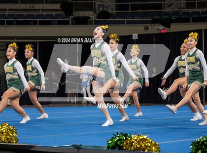 Thumbnail 2 in HHSAA Cheer Championships photogallery.