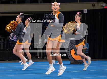 Thumbnail 1 in HHSAA Cheer Championships photogallery.