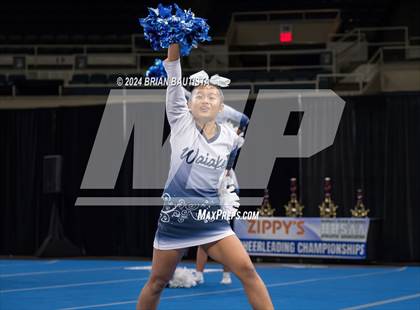 Thumbnail 1 in HHSAA Cheer Championships photogallery.