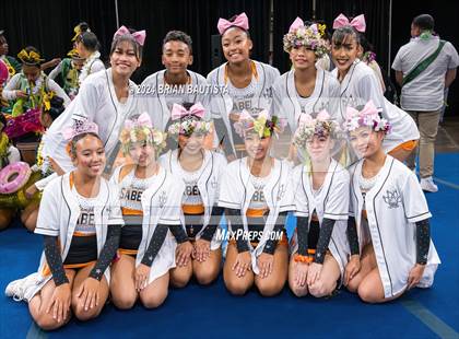 Thumbnail 2 in HHSAA Cheer Championships photogallery.