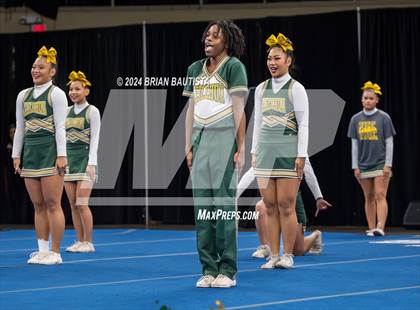 Thumbnail 2 in HHSAA Cheer Championships photogallery.