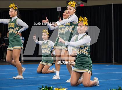 Thumbnail 1 in HHSAA Cheer Championships photogallery.