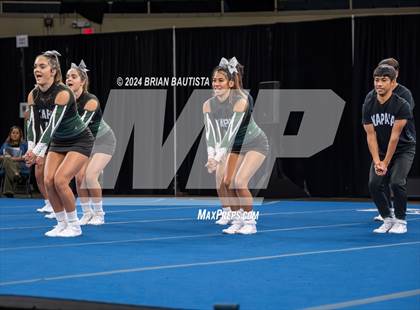 Thumbnail 1 in HHSAA Cheer Championships photogallery.