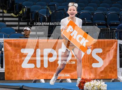Thumbnail 2 in HHSAA Cheer Championships photogallery.