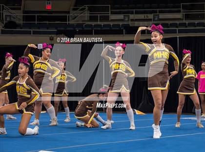 Thumbnail 3 in HHSAA Cheer Championships photogallery.