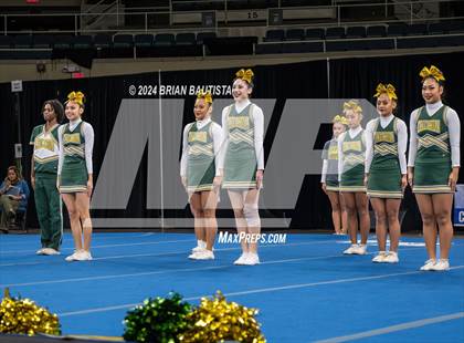 Thumbnail 2 in HHSAA Cheer Championships photogallery.