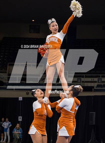 Thumbnail 1 in HHSAA Cheer Championships photogallery.