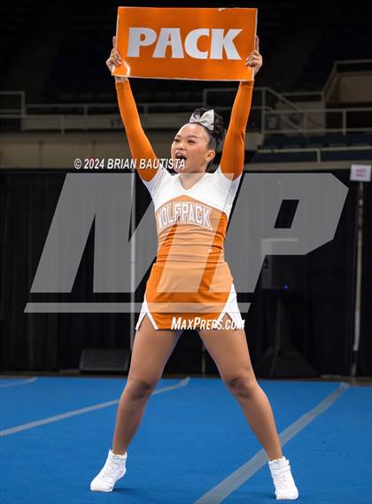 Thumbnail 1 in HHSAA Cheer Championships photogallery.