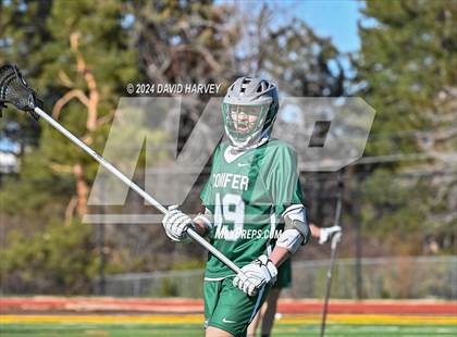 Thumbnail 2 in Conifer vs Thomas Jefferson photogallery.