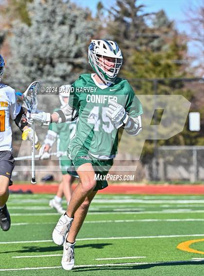Thumbnail 1 in Conifer vs Thomas Jefferson photogallery.