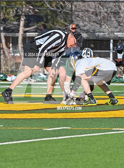 Thumbnail 1 in Conifer vs Thomas Jefferson photogallery.