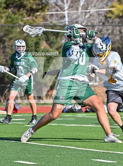 Thumbnail 3 in Conifer vs Thomas Jefferson photogallery.