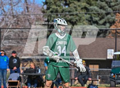 Thumbnail 1 in Conifer vs Thomas Jefferson photogallery.