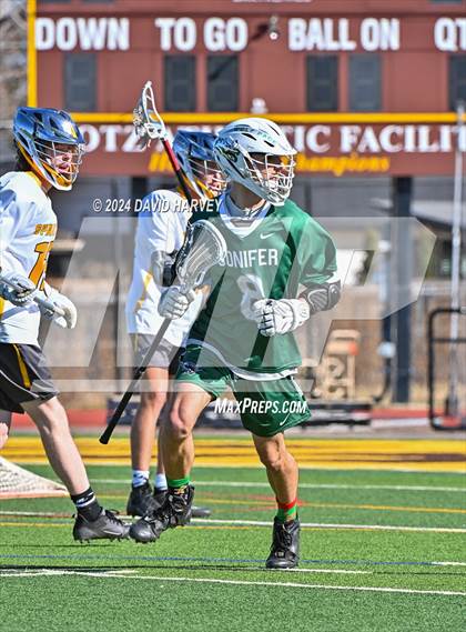 Thumbnail 1 in Conifer vs Thomas Jefferson photogallery.