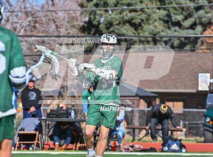 Thumbnail 1 in Conifer vs Thomas Jefferson photogallery.