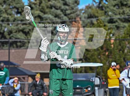 Thumbnail 2 in Conifer vs Thomas Jefferson photogallery.