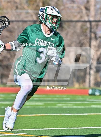 Thumbnail 1 in Conifer vs Thomas Jefferson photogallery.