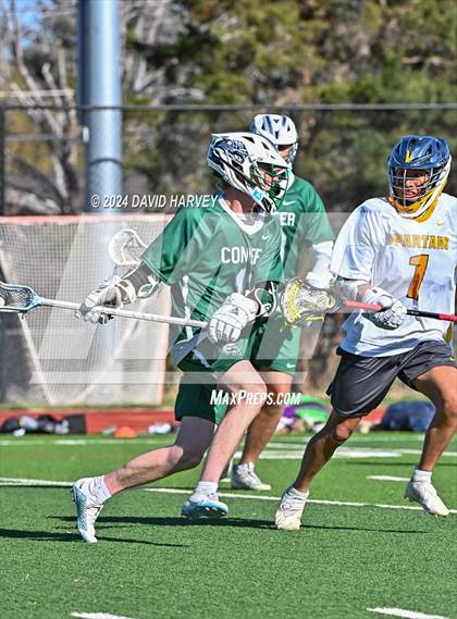 Thumbnail 3 in Conifer vs Thomas Jefferson photogallery.