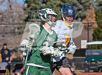 Thumbnail 3 in Conifer vs Thomas Jefferson photogallery.