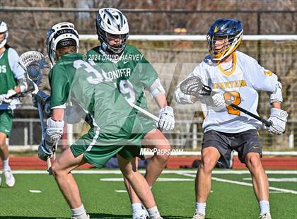 Thumbnail 1 in Conifer vs Thomas Jefferson photogallery.