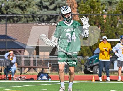 Thumbnail 1 in Conifer vs Thomas Jefferson photogallery.