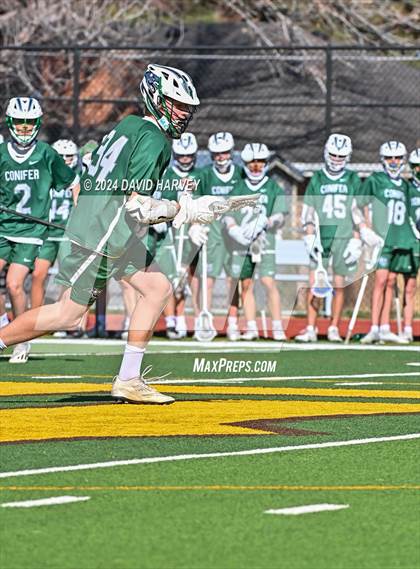 Thumbnail 1 in Conifer vs Thomas Jefferson photogallery.