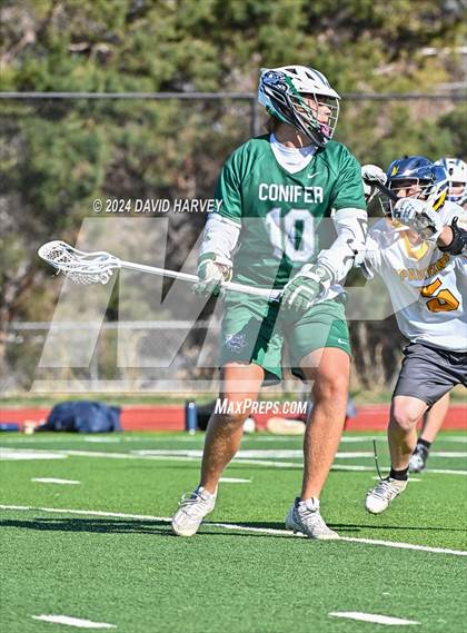 Thumbnail 2 in Conifer vs Thomas Jefferson photogallery.