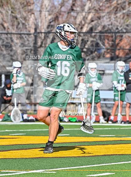 Thumbnail 3 in Conifer vs Thomas Jefferson photogallery.