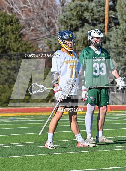 Thumbnail 1 in Conifer vs Thomas Jefferson photogallery.
