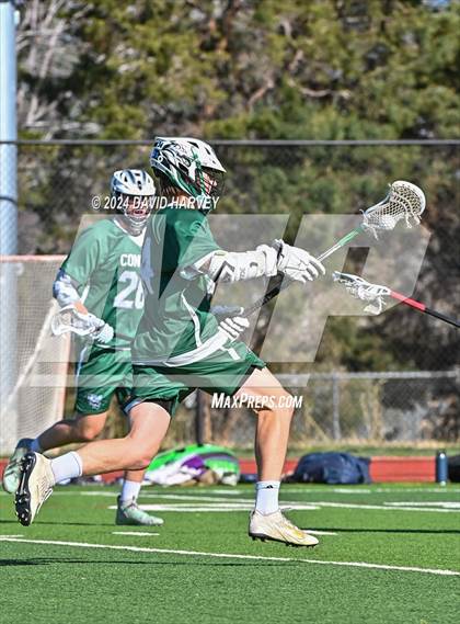 Thumbnail 2 in Conifer vs Thomas Jefferson photogallery.