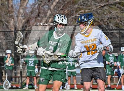Thumbnail 2 in Conifer vs Thomas Jefferson photogallery.