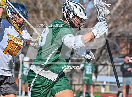 Thumbnail 2 in Conifer vs Thomas Jefferson photogallery.