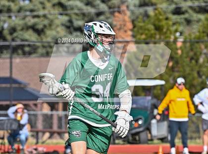 Thumbnail 3 in Conifer vs Thomas Jefferson photogallery.