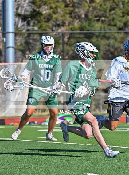 Thumbnail 1 in Conifer vs Thomas Jefferson photogallery.