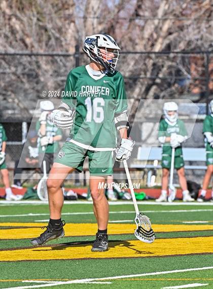 Thumbnail 1 in Conifer vs Thomas Jefferson photogallery.