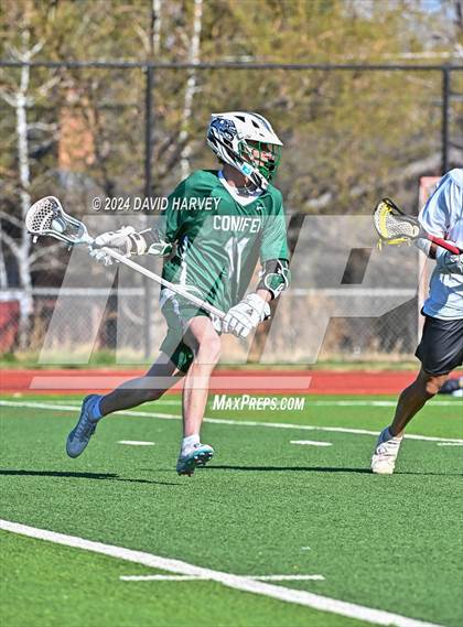 Thumbnail 1 in Conifer vs Thomas Jefferson photogallery.