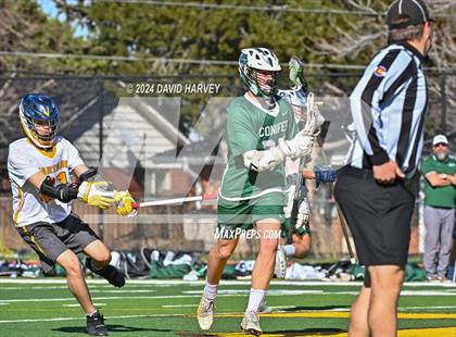 Thumbnail 2 in Conifer vs Thomas Jefferson photogallery.