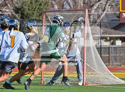 Thumbnail 1 in Conifer vs Thomas Jefferson photogallery.