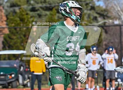 Thumbnail 2 in Conifer vs Thomas Jefferson photogallery.