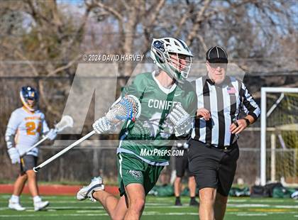 Thumbnail 2 in Conifer vs Thomas Jefferson photogallery.