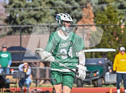 Thumbnail 2 in Conifer vs Thomas Jefferson photogallery.